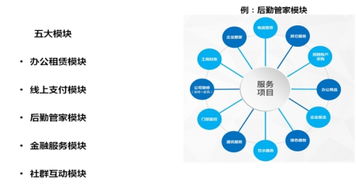 浙江豆办网络科技 创业科技园运营首选，网络技术服务引领创新
